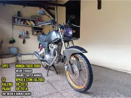GL Pro Basic Tiger 2005