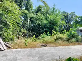 Tanah Dijual Murah Jogja Sleman, Dekat Jalan Magelang Jogja
