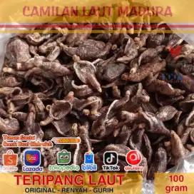 Promo Gratis Ongkir COD Camilan Laut Madura Krupuk Teripang Haisom