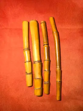 Rotan Langka Ketemu Ruas