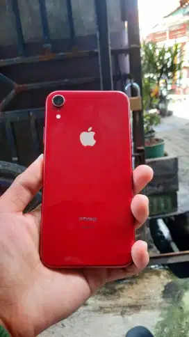 Iphone xr 64gb inter All Operator