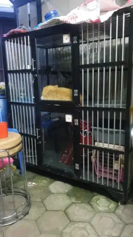 Kandang Kucing Besar