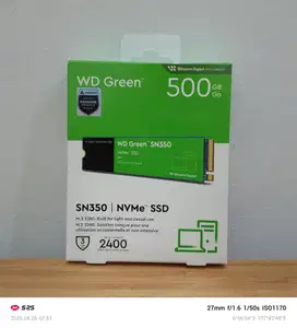 SSD M.2 NVME 512GB WD Green SN350 Kondisi Baru Garansi Resmi 3 Tahun