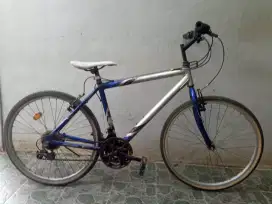 Wimcycle roadchamp 26 Alloy dobel bidon, siap goes. Ttambah speda bisa