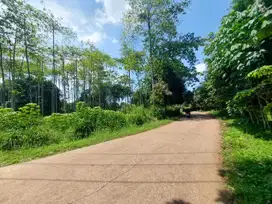 Kavling area Setu, hanya 100jt-an Per-Unit bisa Cicil tanpa Bunga. SHM