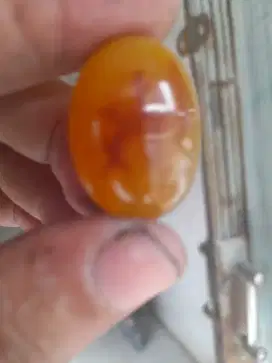 Batu cicin asil bukan masakan