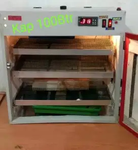 Mesin tetas telur full otomatis kap 100 butir