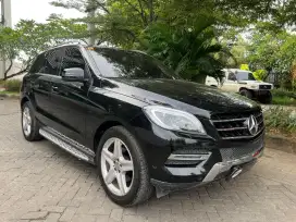 Mercedes Benz ML 250 Diesel 2015