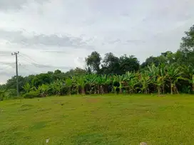 Bisa Cicil 12x Bunga 0%, Kavling SHM Cibarusah