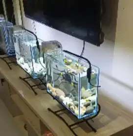 Aquarium mini keren dan cantik