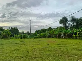 800 Rb-an Kavling SHM Area Cibarusah. View Sawah & Bukit
