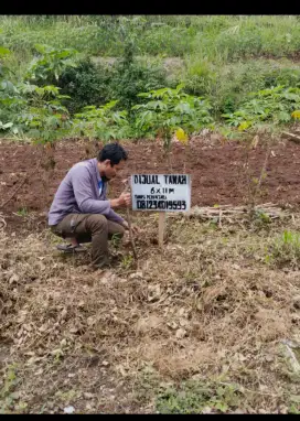 Dijual tanah cepat BU