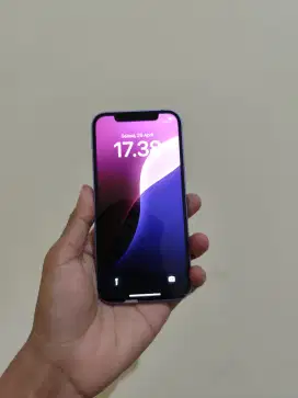 Iphone 12 64Gb Purple Ibox