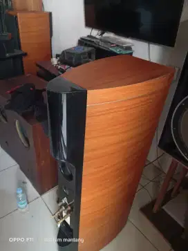 Sepasang speaker awoa limited edition