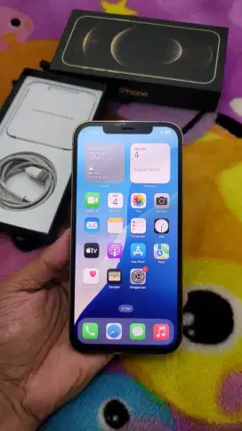 Iphone12 pro max 256gb (bisa tt