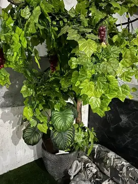 Dijual pohon plastik untuk pajangan cafe / restoran / rumah