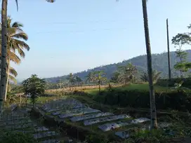 Tanah Luas SHM 1940 m² Pinggir Jalan Desa di Grabag Magelang