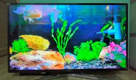 Samsung SMART TV UHD 4K TYPE UA43MU6100