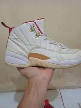 Nike Air Jordan Retro 12