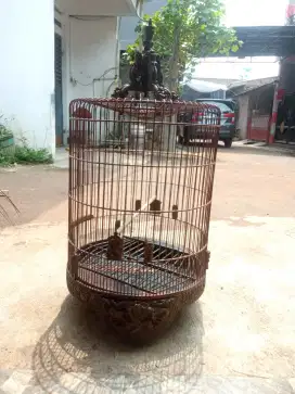 Kandang burung murai