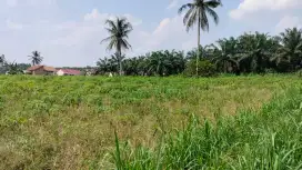 Jual Tanah Luas dan Murah