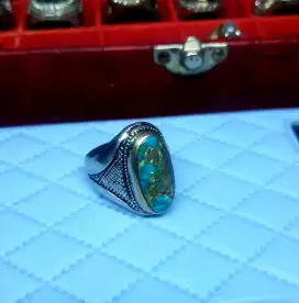Pirus persia Ring 7,5