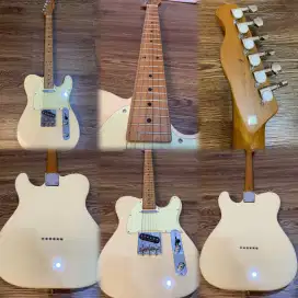 BACCHUS BTE-1 RSM TELECASTER