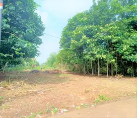 Tanah Kavling Murah, 1 Jt-an, Hanya 15 Menit Jl. Raya Cileungsi