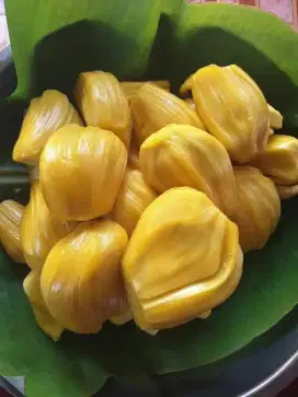 BUAH NANGKA FRESH PER PACK DAN PERKILOAN