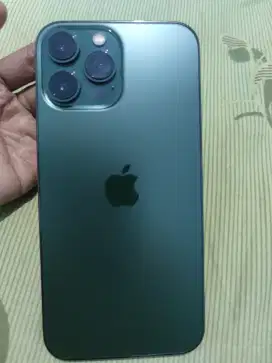 Iphone 13 promax