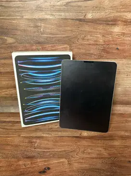 Ipad Pro 11 inch ( 4th Generation ) WIFI + Cellular 256 GB Resmi Erafo