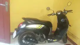 Scoopy 2022 lengkap pajak hidup pemakain pribadi beli dari baru