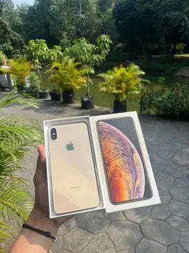 Iphone Xs Max 256Gb