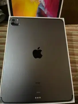 Ipad Pro Gen 2 256 GB Ex ibox