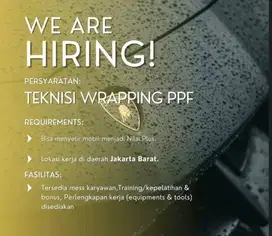 TEKNISI WRAPPING PPF