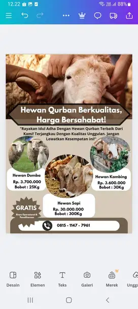 Sapi Qurban Semua jenis