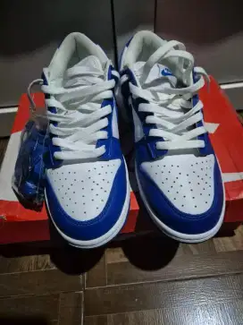 Nike dunk low kentucky size US 8/41 fullset