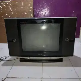 Sharp flat 21 inchi