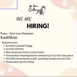 Lowongan Iklan Host Live Streamer
