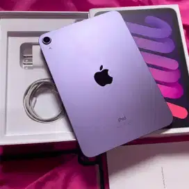 Ipad Mini 6 256gb purple