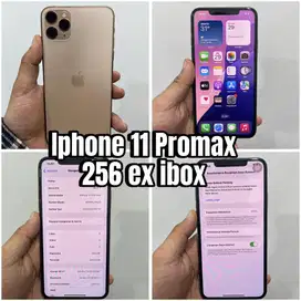 Iphone 11 promax 256 ibox