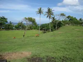 Tanah Zona Pink/ Pariwisata Pantai Selemadeg Tabanan Bali