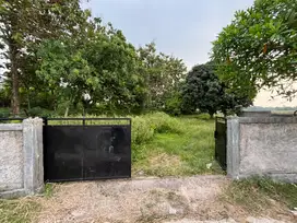 Dijual Cepat tanah di kabupaten bogor