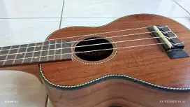 Ukulele Merek Hola