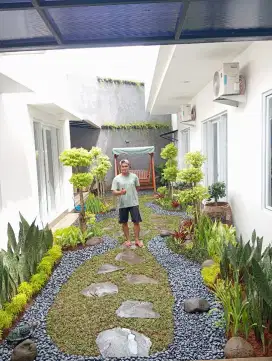 Jual rumput murah