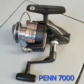 Reel Pancing PENN 7000