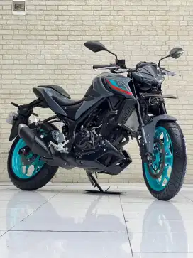 Odo 1rb Istimewa!!Yamaha New MT25 Naked 2022 Warna Favorit-Mustika