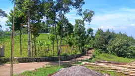 KEBUN SUBUR ASRI UJUNG BERUNG ATAS
