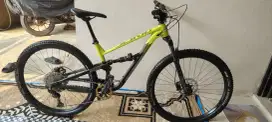 Siskiu D7 M 29er Strummer Tawon