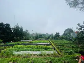 Tanah Kebun View Gunung Cocok Buat Villa Dekat The Highland Park